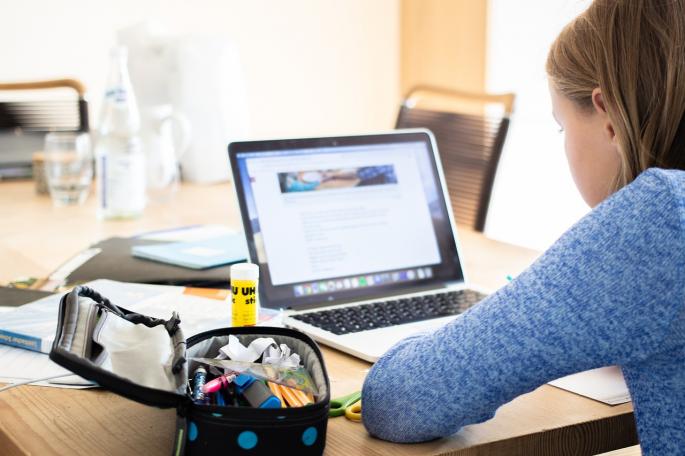 © Copyright zapCulture pixabay Schülerin beim Lernen mit einem PC