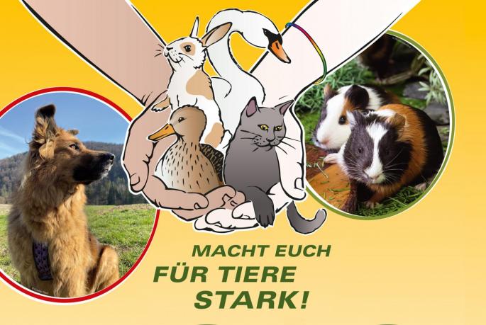 Poster mit Hunden, Katzen, Enten, Schwänen und Meerschweinen mit dem Titel "Macht euch für Tiere stark!"