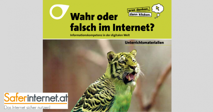 Broschüre Wahr oder falsch im Internet?