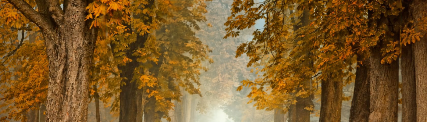 Herbstlandschaft