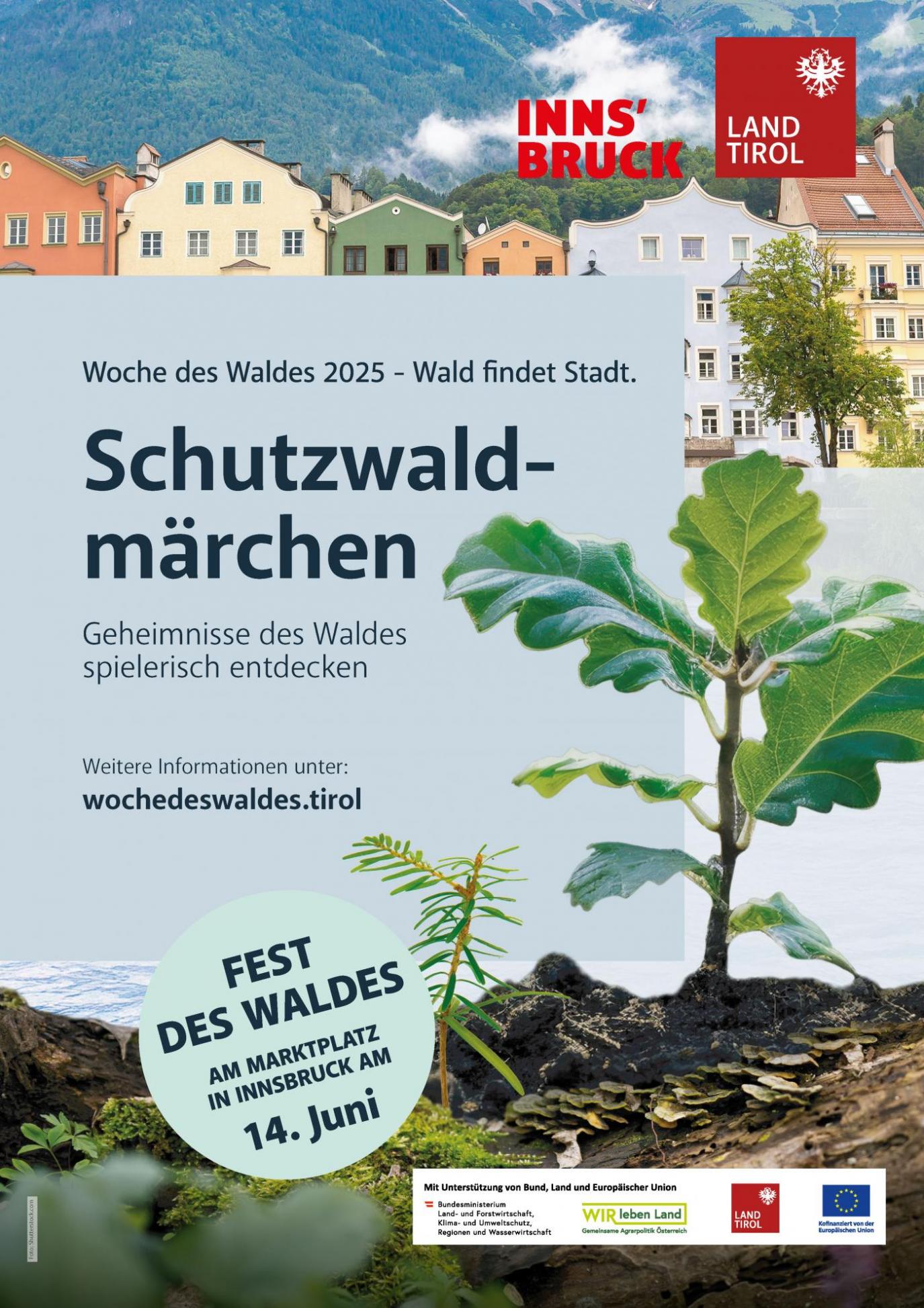 Plakat Woche des Waldes Schutzwaldmärchen