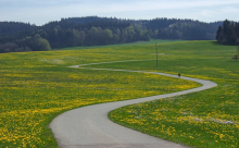 Straße quer durch eine blühende Blumenwiese