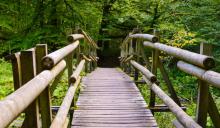 Holzbrücke