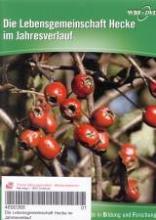 Cover von Lebensgemeinschaft Hecke im Jahresverlauf - Strauch mit Beeren