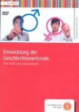 geschlechtsmerkmale