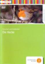 Cover von Hecke - Forschen und Entdecken - Vogel in einer Hecke