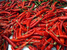 mehrere rote Chillies