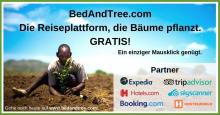 B’n’Tree: Die Reiseplattform, die Bäume pflanzt 