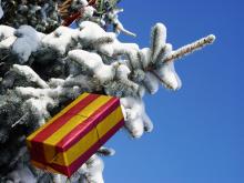 Tannenbaum mit Geschenk