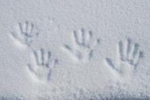 Handabdrücke im Schnee