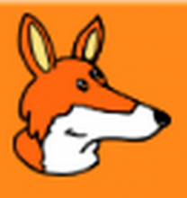 Kopf eines Fuchses auf orangem Hintergrung