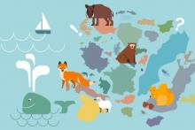 EU Puzzle