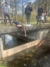 Mit vollem Einsatz bei der Aktion HBLFA Tirol klaubt auf.