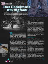 Bigfoot