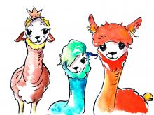 Coollama und seine Freunde
