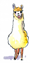 Coollama