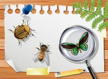 Citizen Science Award