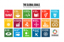 THE GLOBAL GOALS