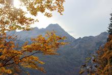 Herbstlandschaft