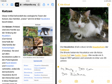 Screenshot Split View Wikipedia u. Notizen-App