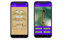  Pflanzenapp-Tirol