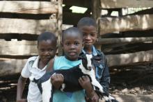 Bild von Kindern in Ifakara