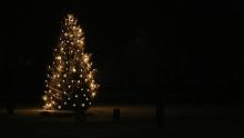 beleuchteter Weihnachtsbaum