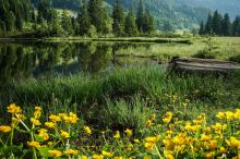 Landschaft mit Bergsee