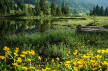 Landschaft mit Bergsee