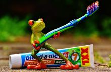 Zahncreme Frosch Zahnbürste