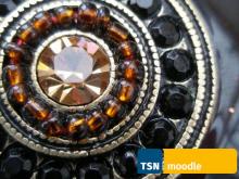 Schmuck mit Steinperlen + TSNmoodle Logo