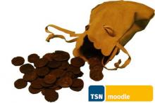 römische Münzen in einer Ledertasche + Logo TSNmoodle