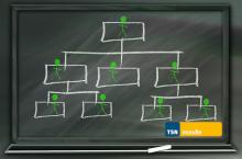 Tafel mit einer aufgezeichneten Hierarchiestruktur + TSNmoodle Logo