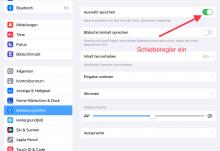 Screenshot Gesprochene Inhalte