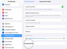 Screenshot Aussprache der gesprochenen Inhalte