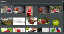 Screenshot Suchfenster Bildwerkzeug